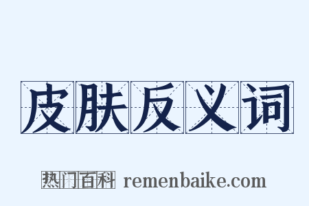 皮肤反义词是什么意思的图片